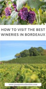 Bordeaux winery