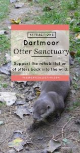 Otter sanctuary