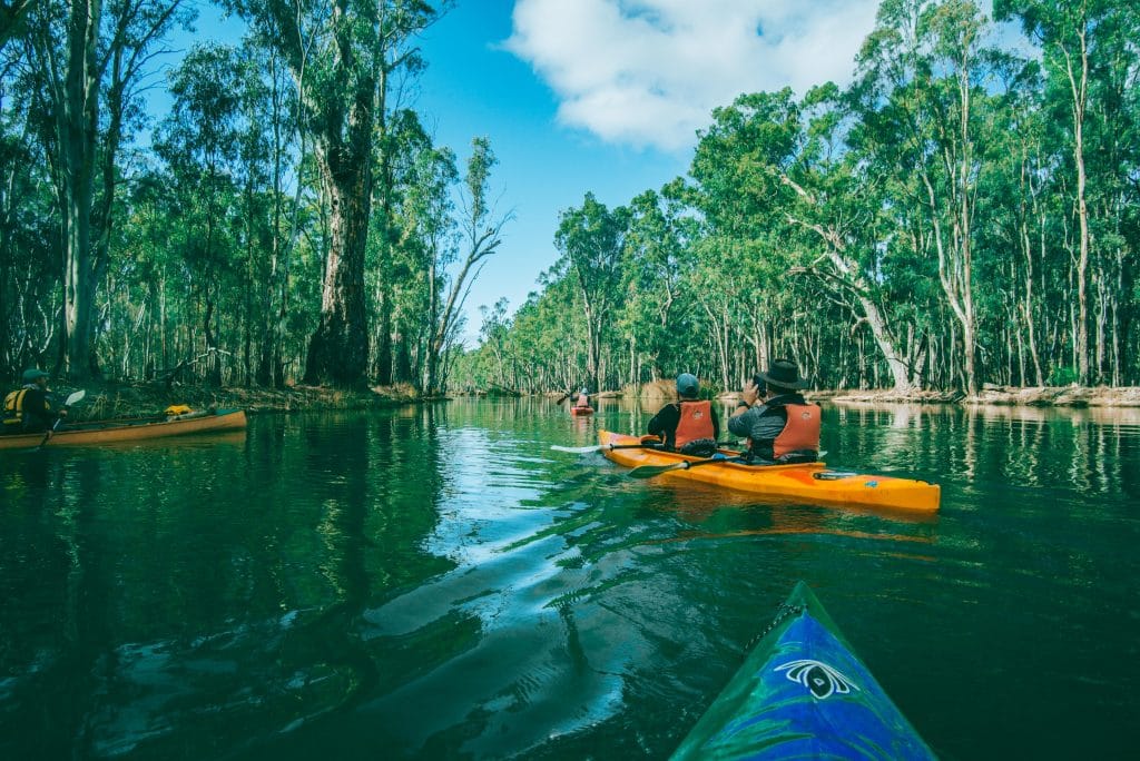 Where to Kayak the Murray River PASSPORT COLLECTIVE