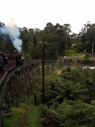puffing billy 5