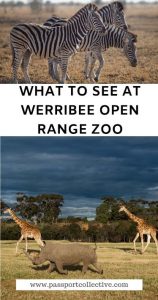 Werribee zoo